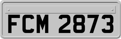 FCM2873