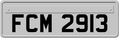 FCM2913