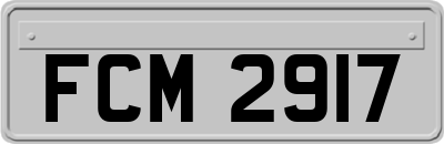 FCM2917