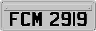 FCM2919
