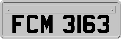 FCM3163