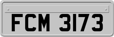 FCM3173