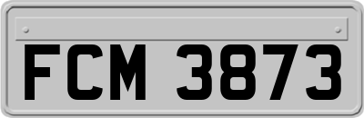 FCM3873