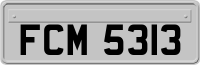 FCM5313