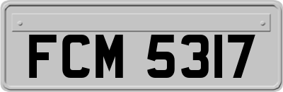 FCM5317