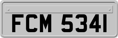 FCM5341