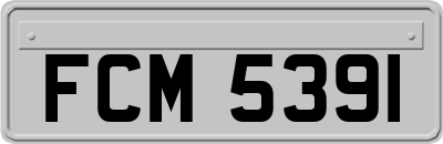 FCM5391