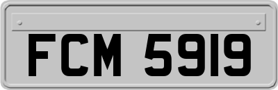 FCM5919