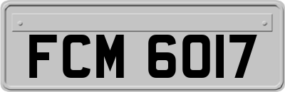 FCM6017