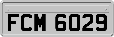 FCM6029
