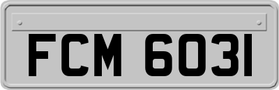 FCM6031