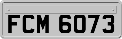 FCM6073