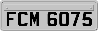 FCM6075