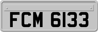 FCM6133