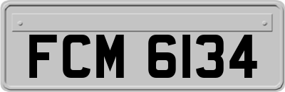 FCM6134