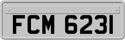 FCM6231