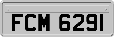 FCM6291