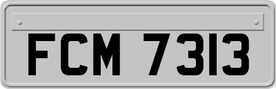 FCM7313