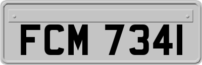 FCM7341