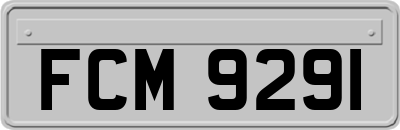 FCM9291