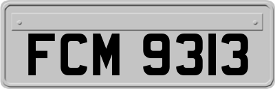 FCM9313