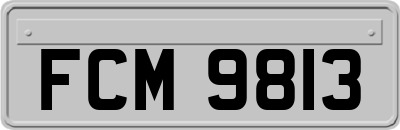 FCM9813