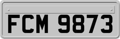 FCM9873