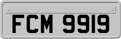 FCM9919