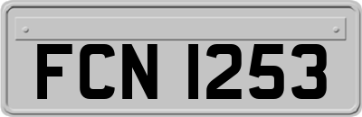FCN1253