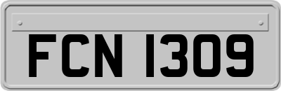 FCN1309