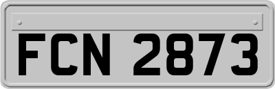 FCN2873