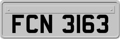 FCN3163