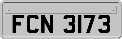FCN3173