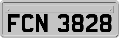 FCN3828