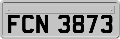 FCN3873