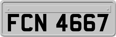 FCN4667