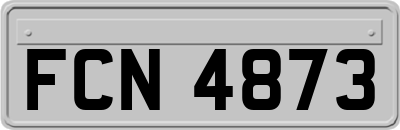 FCN4873