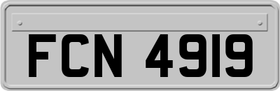 FCN4919