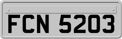 FCN5203