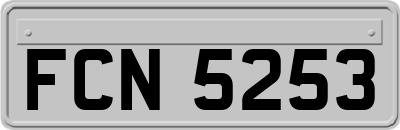 FCN5253