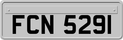 FCN5291