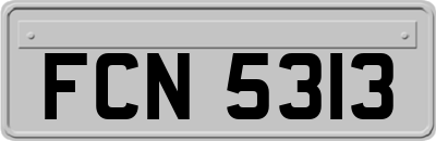 FCN5313