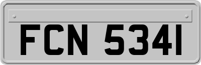 FCN5341