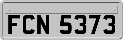 FCN5373