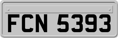 FCN5393