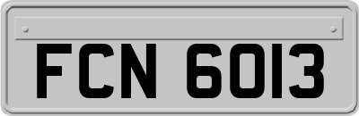 FCN6013