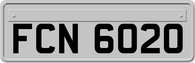 FCN6020