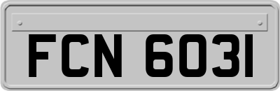 FCN6031