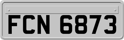 FCN6873