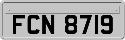 FCN8719